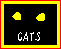 I LOVE CATS